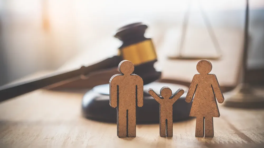 Expertise en droit des personnes et droit de la famille